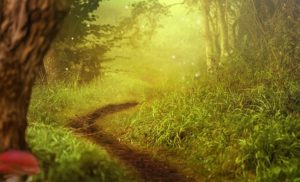 Stage Le Chemin intérieur - Haguenau - Strasbourg - Alsace